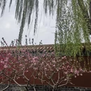 北京旅游 缩略图 18