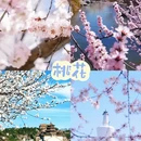 北京旅游 缩略图 3