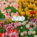 北京旅游 缩略图 7