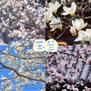 北京旅游 缩略图 4