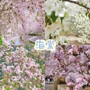 北京旅游 缩略图 6