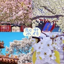 北京旅游 缩略图 11