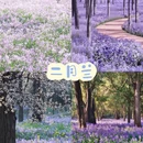 北京旅游 缩略图 9