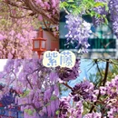 北京旅游 缩略图 12