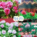 北京旅游 缩略图 13
