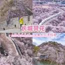 北京旅游 缩略图 2