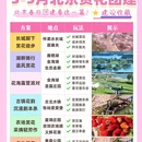 北京旅游 缩略图 1