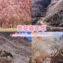 北京旅游 缩略图 7