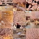 北京旅游 缩略图 1