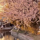 北京旅游 缩略图 2