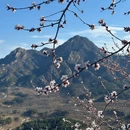 北京旅游 缩略图 3