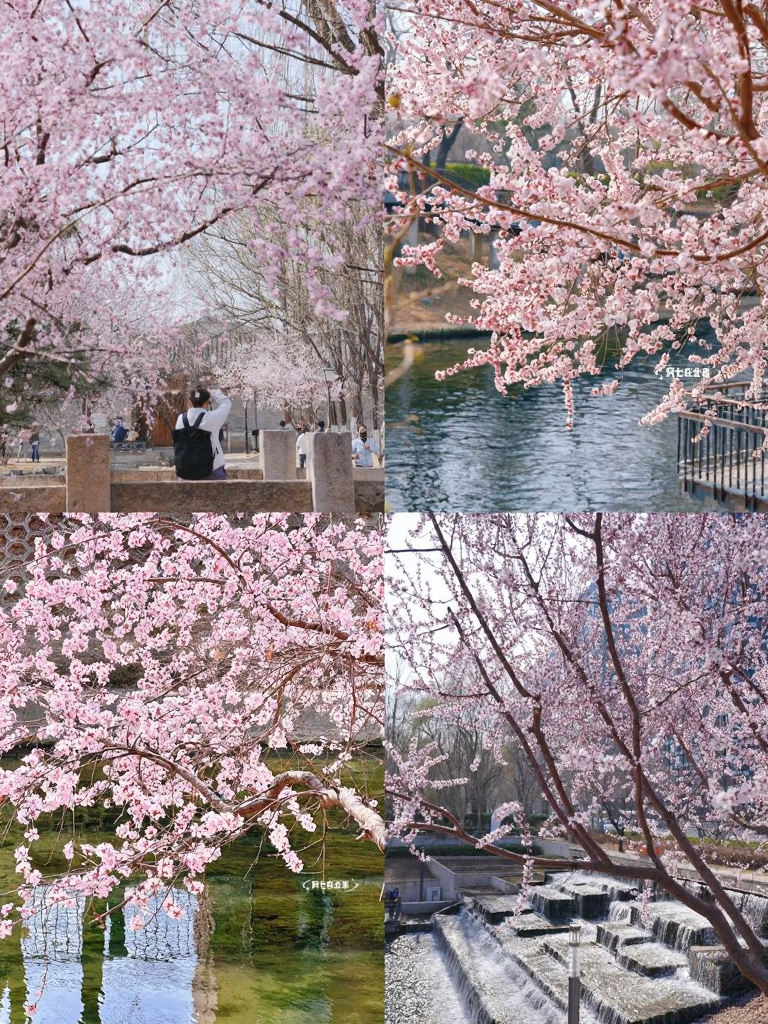 北京旅游
