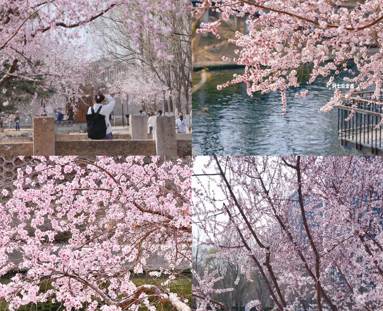 北京旅游 1
