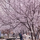 北京旅游 缩略图 3