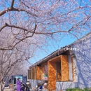 北京旅游 缩略图 2