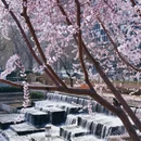 北京旅游 缩略图 8