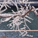 北京旅游 缩略图 9