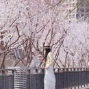 北京旅游 缩略图 10