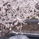 北京旅游 缩略图 13
