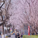 北京旅游 缩略图 18
