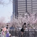 北京旅游 缩略图 12