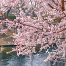 北京旅游 缩略图 15