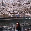 北京旅游 缩略图 16