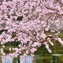 北京旅游 缩略图 17
