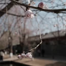 北京旅游 缩略图 3