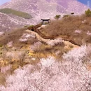 北京旅游 缩略图 2