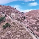 北京旅游 缩略图 1