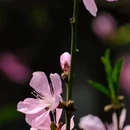 北京旅游 缩略图 3