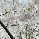北京旅游 缩略图 7
