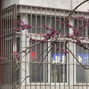 北京旅游 缩略图 10