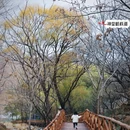 北京旅游 缩略图 9