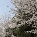 北京旅游 缩略图 6