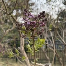 北京旅游 缩略图 9