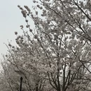 北京旅游 缩略图 5