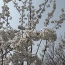 北京旅游 缩略图 2