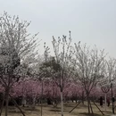 北京旅游 缩略图 4