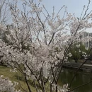 北京旅游 缩略图 7
