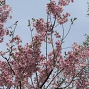 北京旅游 缩略图 10