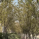 北京旅游 缩略图 12