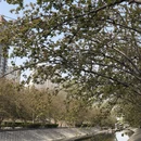 北京旅游 缩略图 14