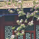 北京旅游 缩略图 4