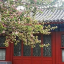 北京旅游 缩略图 3