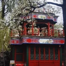北京旅游 缩略图 1