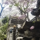 北京旅游 缩略图 5