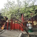 北京旅游 缩略图 8