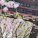 北京旅游 缩略图 10